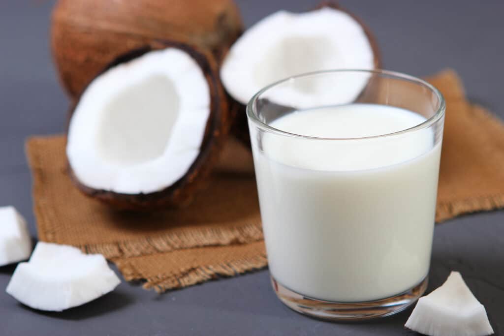 A glass of coconut milk next to a coconut.