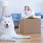 A white dog lying on the floor of a new home with unpacked boxes and a couple in the background.