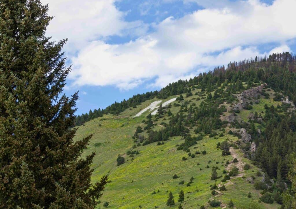 A large white letter M on a lush green mountainside near Bozeman, Montana.