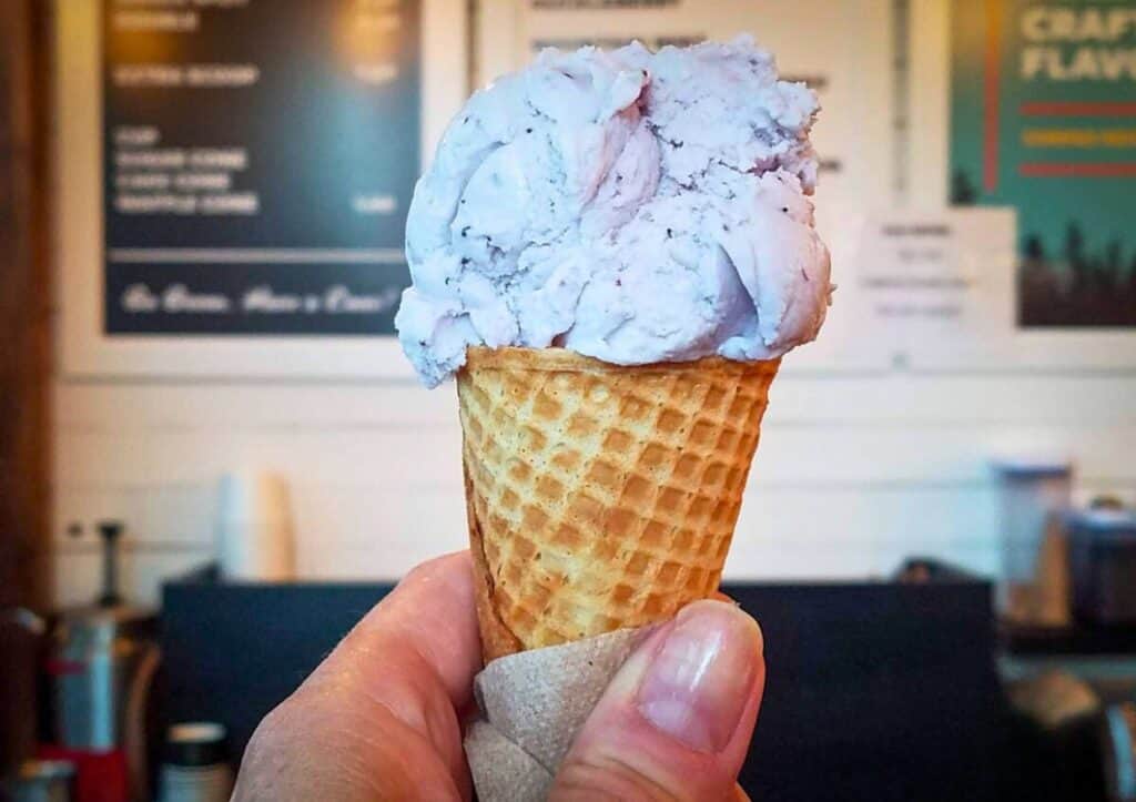 A woman holding a sugar cone with a scoop of huckleberry ice cream.