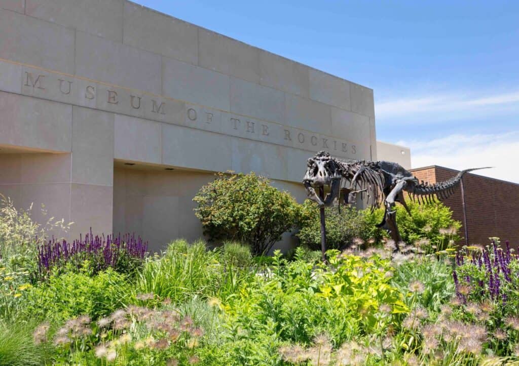 A large metal dinosaur skeleton outside a white building with the words Museum of the Rockies engraved into it.
