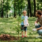 A young boy and his father planting a small tree in a sunny park, both holding gardening tools and smiling.