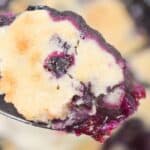 A spoon with blueberry cobbler with rest of cobbler in background.