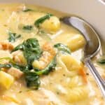 A bowl of creamy soup with gnocchi, spinach, and chunks of chicken.