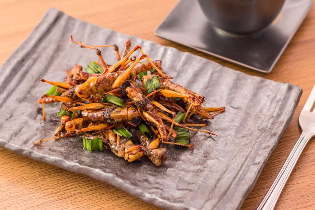 Fried edible insects served on a slate plate with garnish, accompanied by a dark bowl and a fork on a wooden table.