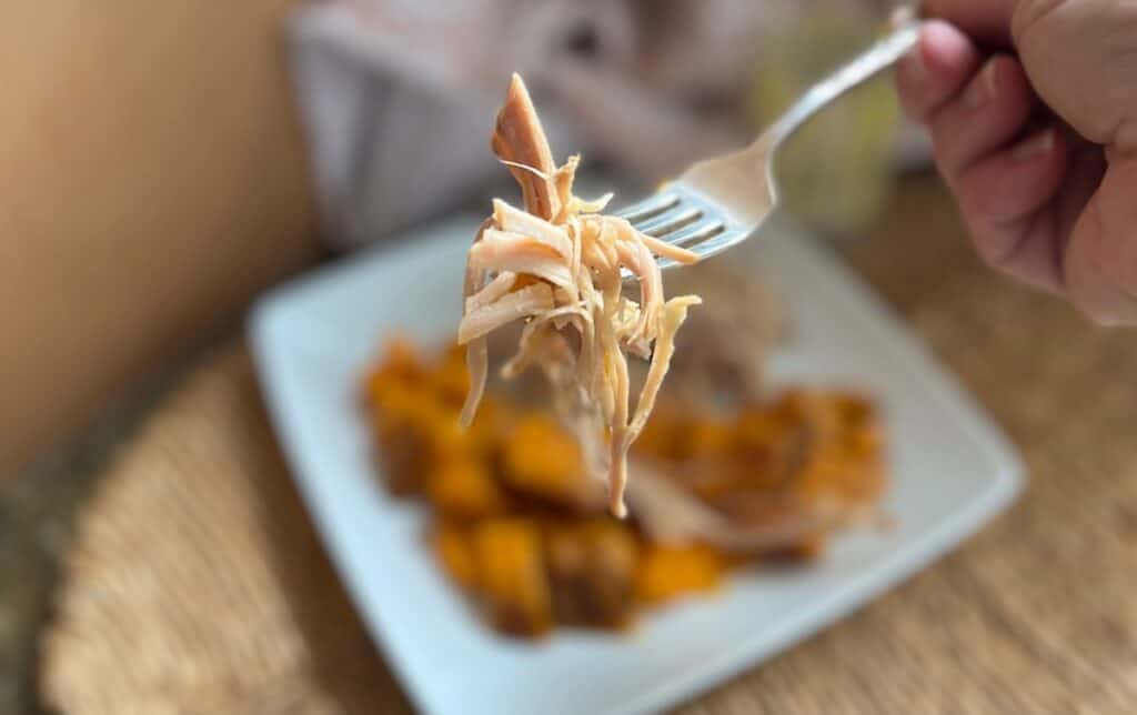 A person eating shredded chicken with a fork, served on a white plate with roasted sweet potatoes in the background.