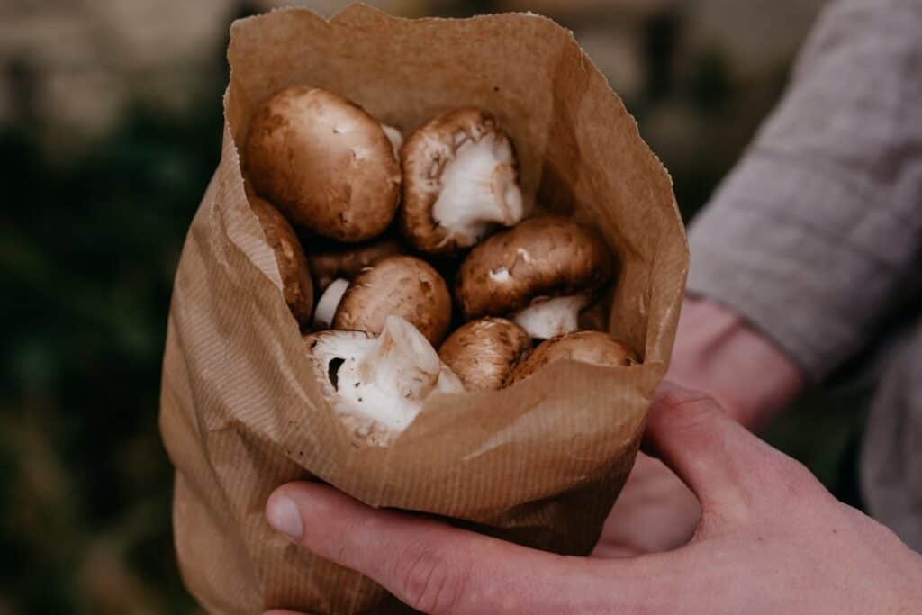 A person holding a paper bag full of fresh brown mushrooms.