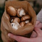 A person holding a paper bag full of fresh brown mushrooms.
