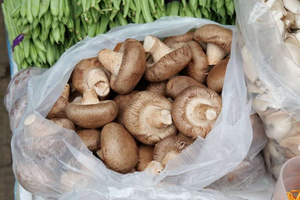 A bag of fresh shiitake mushrooms displayed for sale at a market, surrounded by other vegetables.
