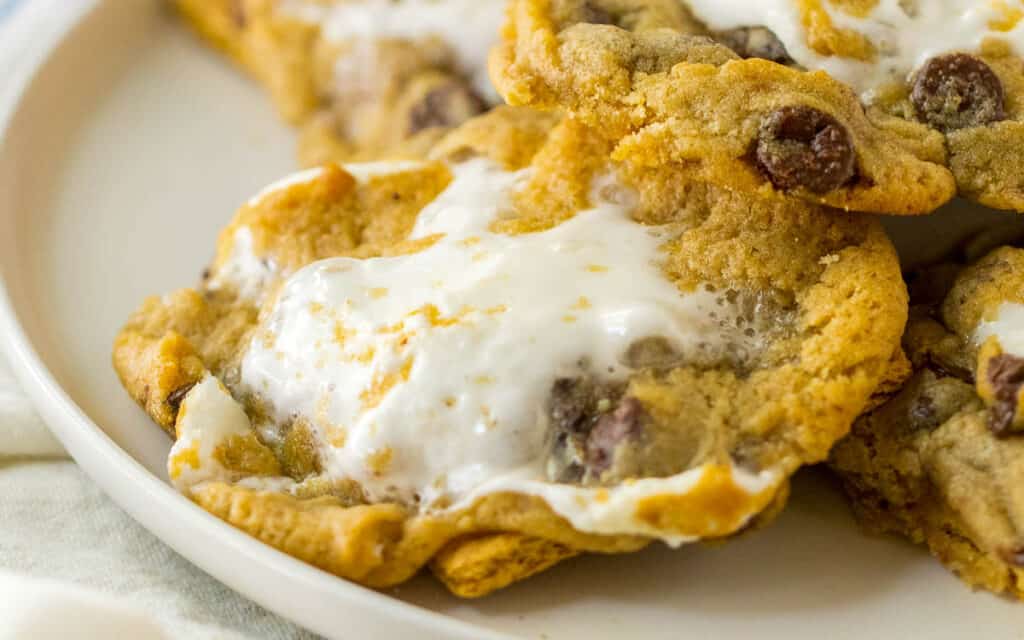 A close-up of chocolate chip cookies with a scoop of melting vanilla ice cream on top.