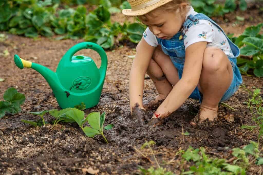 A young child in a straw hat and denim overalls digs in the soil next to a green watering can, surrounded by leafy plants.
