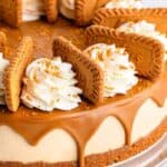 Biscoff cheesecake with whipped cream, Biscoff butter, and cookies.
