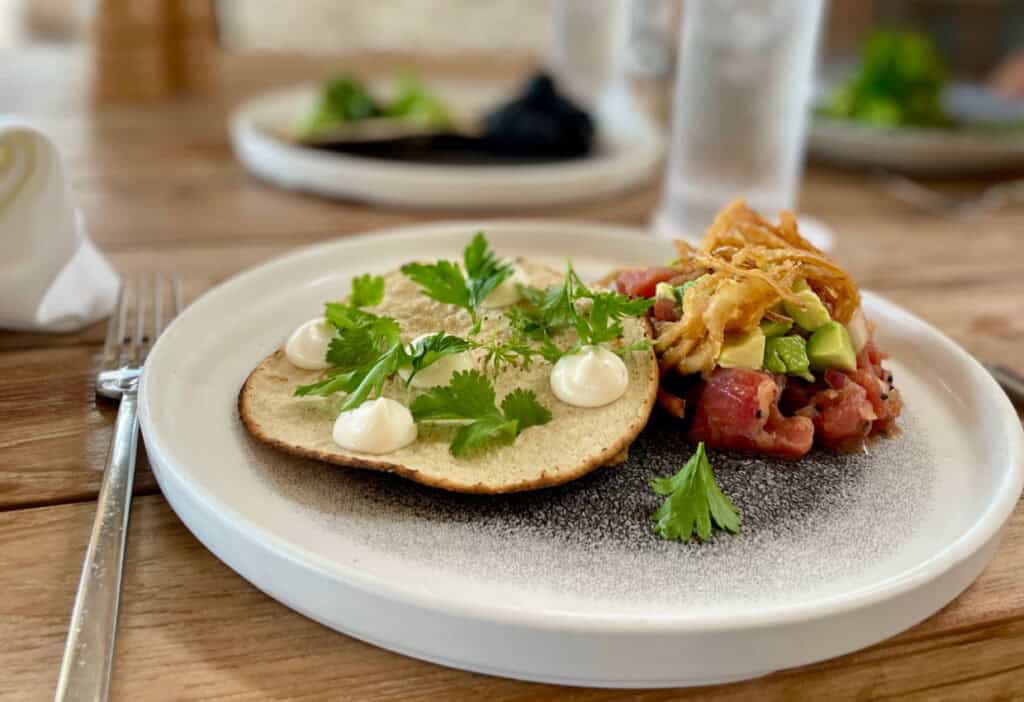 Ahi tuna, avocado, fried onions, alongside a tortilla on a white plate.