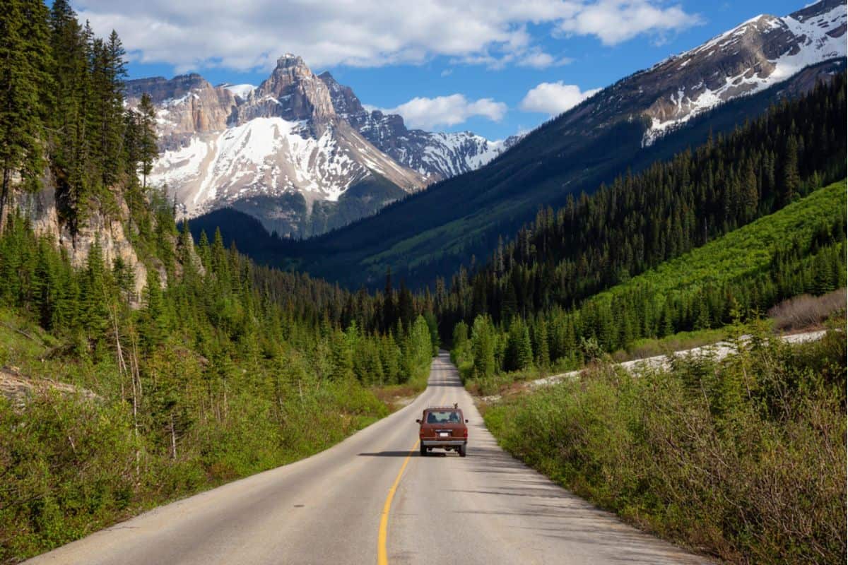 Car in middle of the road in Canadian Rockies.