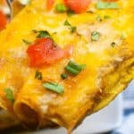 A close-up image of a cheesy enchilada topped with diced tomatoes and green onions, served with a side of salad and fries.