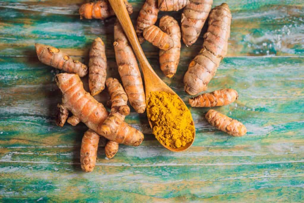 Fresh turmeric roots and powdered turmeric in a wooden spoon on a rustic green wooden background.