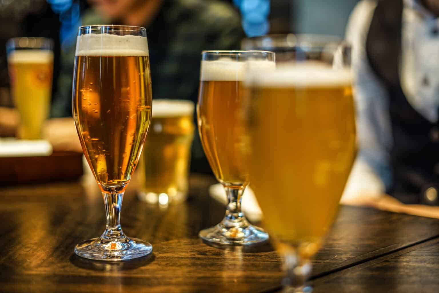 Top 7 things to do in Raleigh