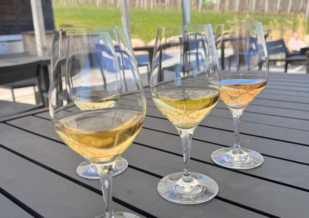 Four glasses of white wine are placed on a gray outdoor table under a sunny sky, with empty chairs and a green background visible.