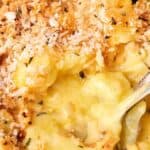 A close-up of a spoonful of creamy macaroni and cheese topped with a golden breadcrumb crust.