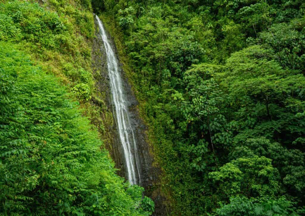 A waterfall gushes down the side of a lush green mountain.
