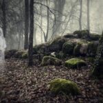 A blurry, ghostly figure stands in a foggy, moss-covered forest among trees and rocks.