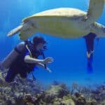 Two scuba divers swim underwater alongside a large sea turtle, surrounded by coral and marine life.