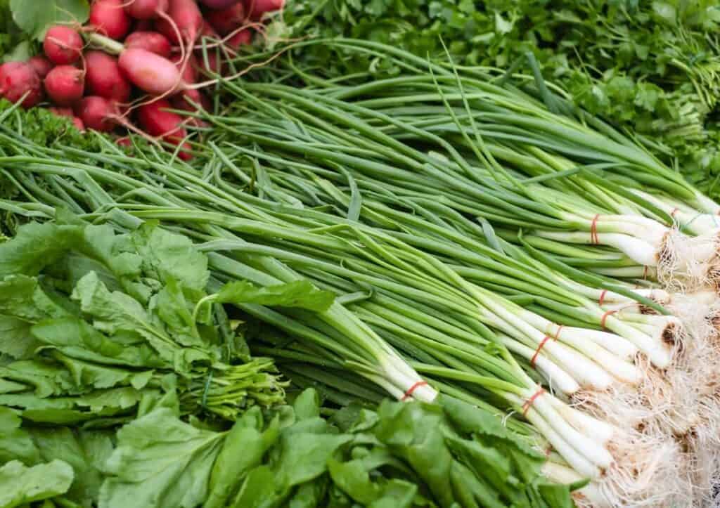 A display of fresh vegetables, including bunches of green onions, radishes, and leafy greens, at a market.