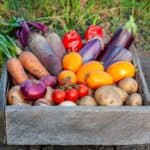 A wooden crate filled with various fresh vegetables, including carrots, beets, red and yellow bell peppers, eggplants, onions, potatoes, and tomatoes, displayed outdoors on soil.