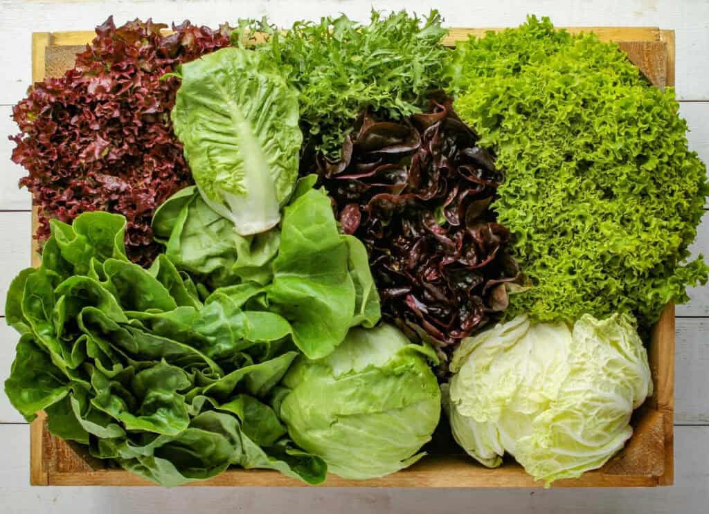 A wooden crate filled with various types of leafy greens, including red and green lettuces, romaine, cabbage, and frisée.