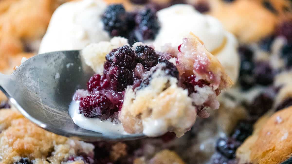 Close-up of a spoonful of blackberry cobbler topped with vanilla ice cream, showing the berries, crust, and melting ice cream.