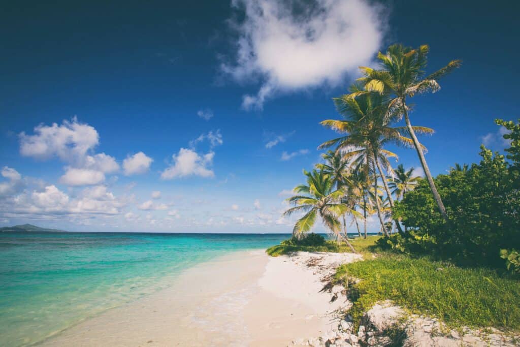 A tropical beach with white sand, clear turquoise water, and palm trees under a bright blue sky with scattered clouds offers the perfect setting for sustainable tourism.