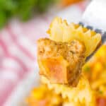 A fork holding a piece of seasoned chicken and farfalle pasta.