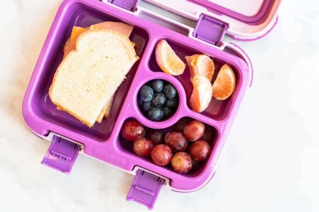 A bento lunch box contains a sandwich, orange slices, blueberries, and grapes.