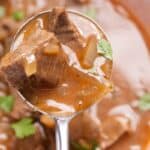 A spoon holding chunks of beef in a rich, brown stew garnished with small pieces of green herbs.