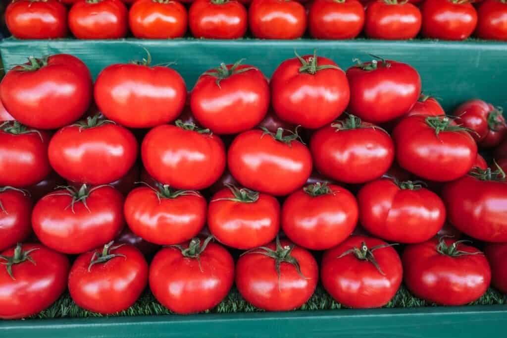 A display of rows of fresh, red tomatoes stacked on green shelves at a market.