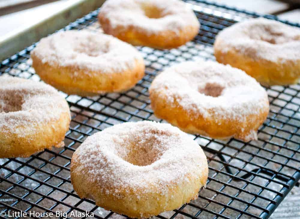 Six sugar-coated doughnuts cooling on a wire rack.