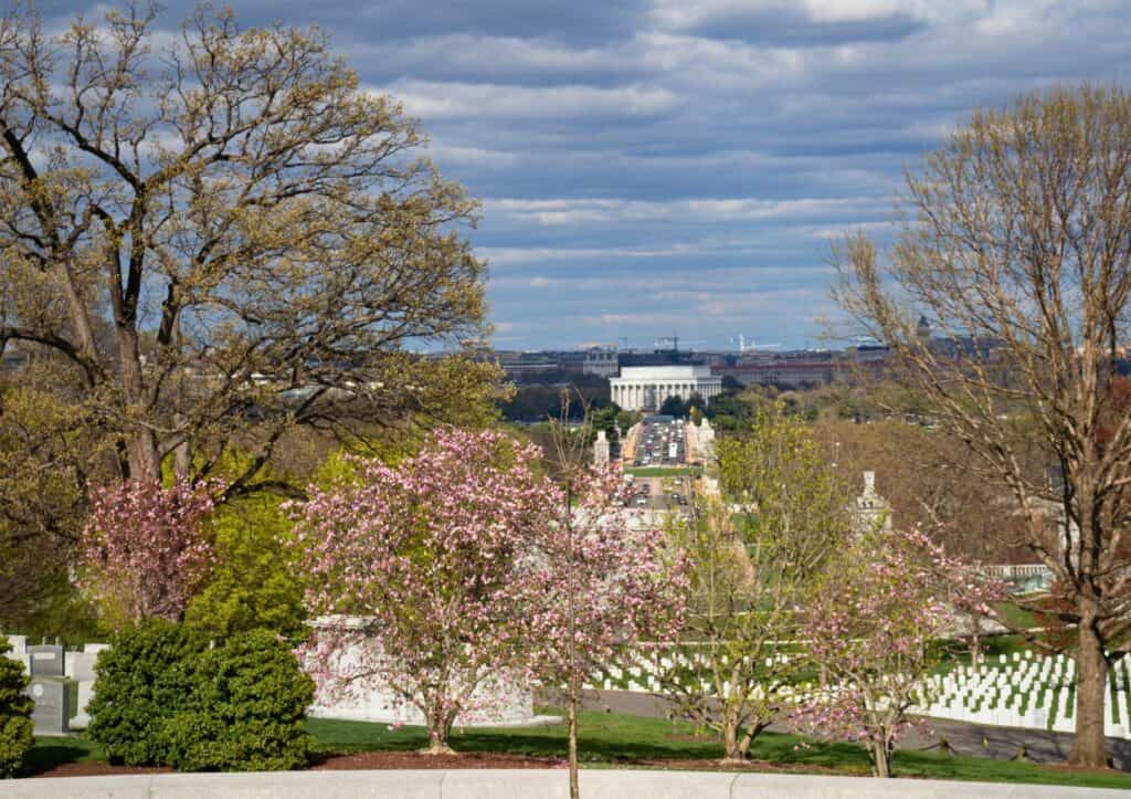 A scenic view of a landscape with blooming trees in the foreground, gravestones in the middle ground, and a large white building with columns in the background under a partly cloudy sky, reminiscent of Arlington National Cemetery.