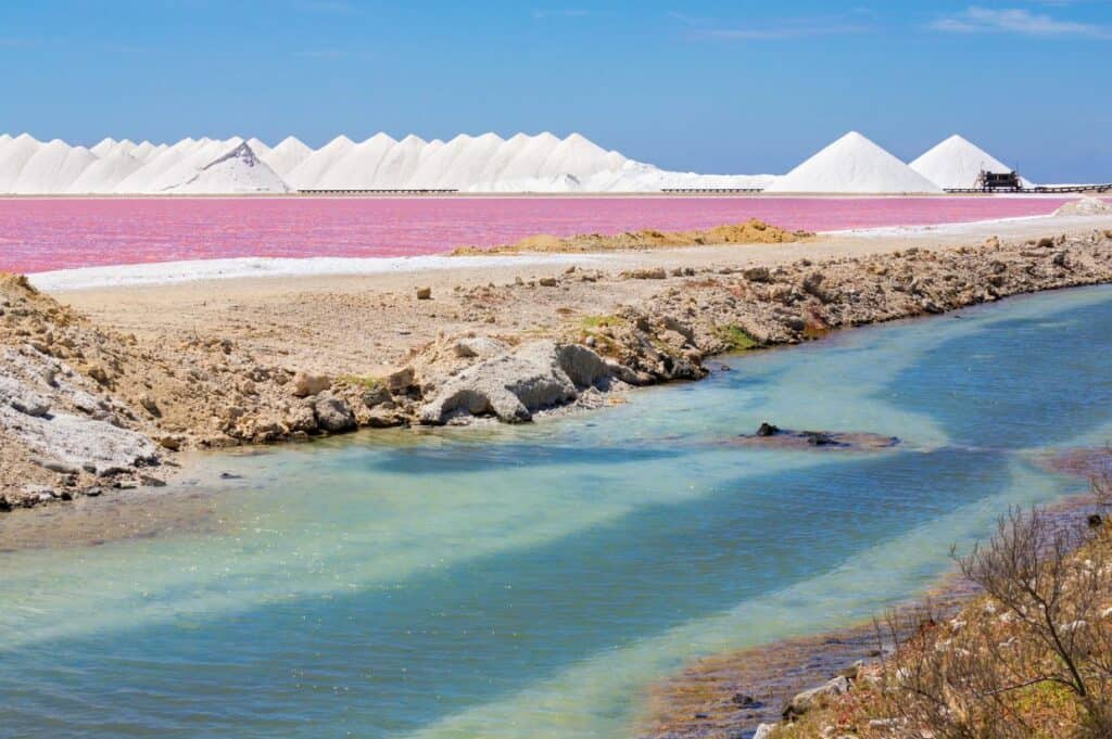 A landscape shows a pink salt lake with large white salt mounds in the background and a narrow blue-green waterway in the foreground under a clear blue sky.