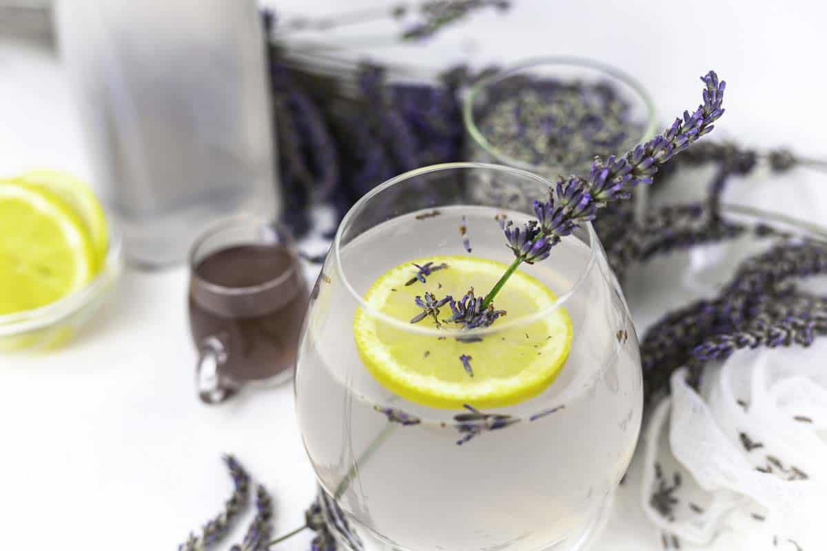 A glass of lemon and lavender mocktail garnished with lavender sprigs.