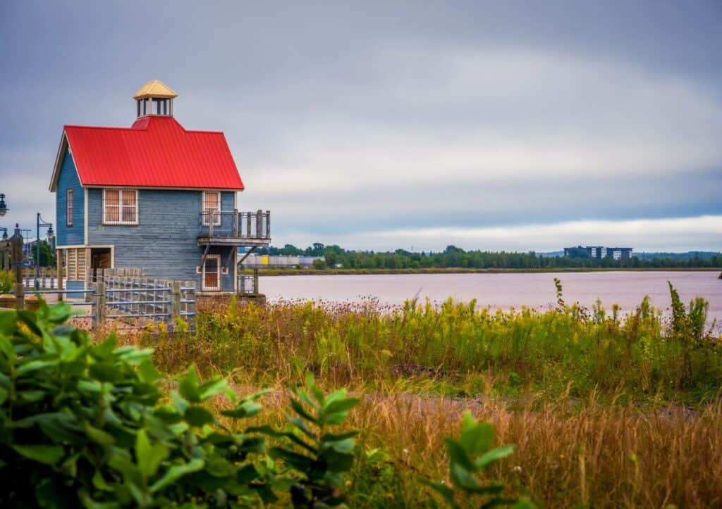 A small blue house with a red roof stands near a river, surrounded by tall grass and greenery under a cloudy sky.