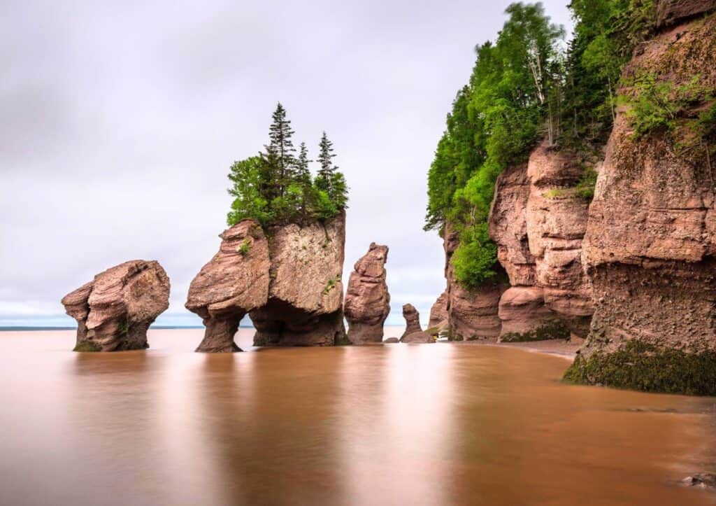 Natural rock formations with trees on top stand in shallow water along a rugged coastline with steep cliffs, under an overcast sky.