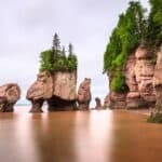 Natural rock formations with trees on top stand in shallow water along a rugged coastline with steep cliffs, under an overcast sky.