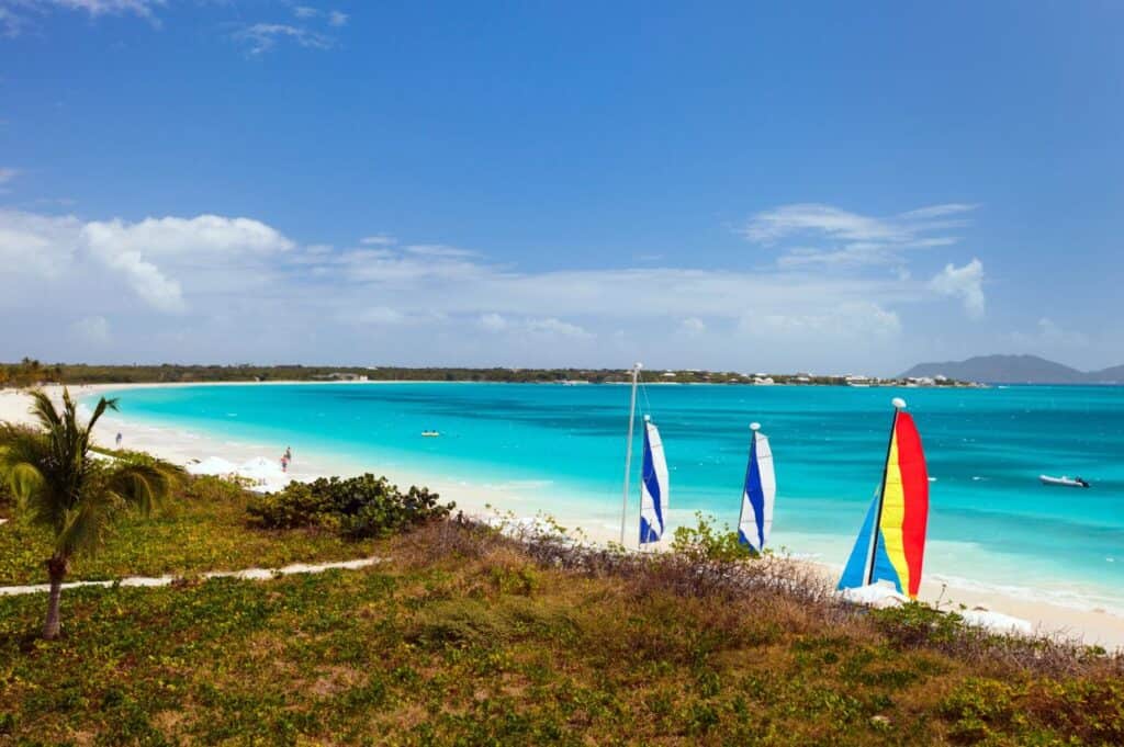 A beach scene featuring a clear blue sea, white sandy shore with scattered foliage, three flags on poles, and distant hills under a partly cloudy sky.