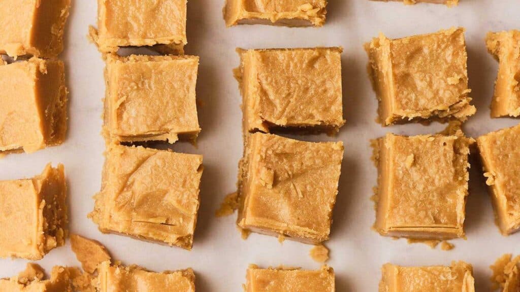 Fudge squares arranged in rows on a white surface.