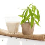 A glass of hemp milk next to a potted hemp plant on burlap fabric, with seeds scattered around.