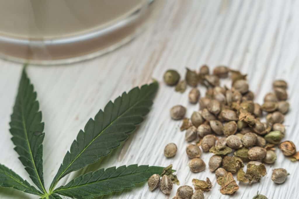 Cannabis leaf and seeds on a wooden surface with a glass in the background.