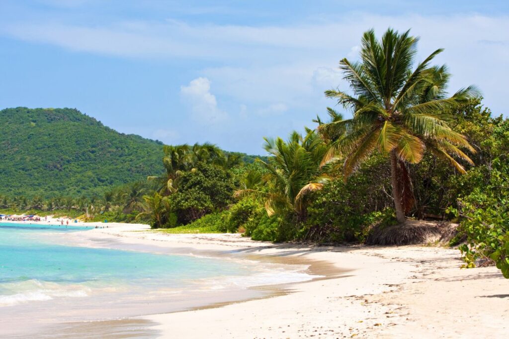 Tropical beach scene with white sand, turquoise water, and palm trees. Lush green hills in the background under a clear blue sky.