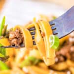 Close-up of a fork holding pasta with ground meat, green onions, and sauce.