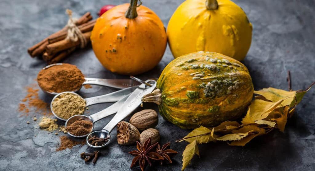 A variety of spices and measuring spoons are arranged in front of three different gourds, showcasing the essence of pumpkin spice, alongside autumn leaves and sticks of cinnamon on a gray surface.