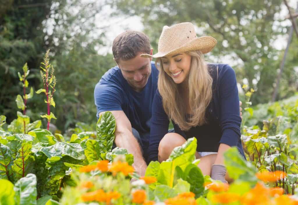 A man and a woman are gardening together, surrounded by lush plants and orange flowers. The woman is wearing a straw hat and both are smiling.